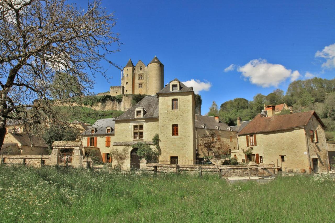 Petite Maison En Pierre Au Coeur Du Perigord Noir Salignac Eyvigues Екстериор снимка