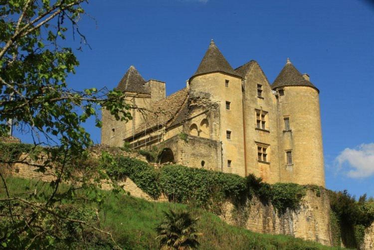 Petite Maison En Pierre Au Coeur Du Perigord Noir Salignac Eyvigues Екстериор снимка