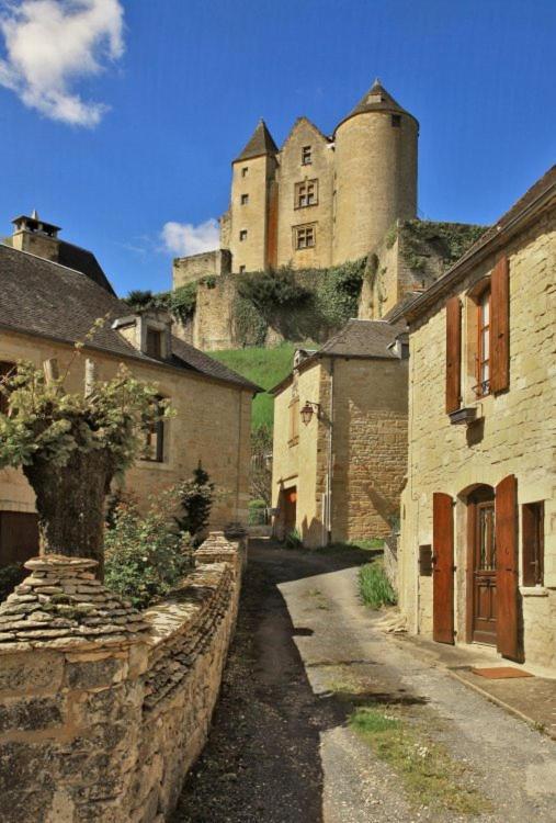 Petite Maison En Pierre Au Coeur Du Perigord Noir Salignac Eyvigues Екстериор снимка