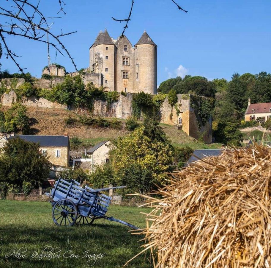 Petite Maison En Pierre Au Coeur Du Perigord Noir Salignac Eyvigues Екстериор снимка